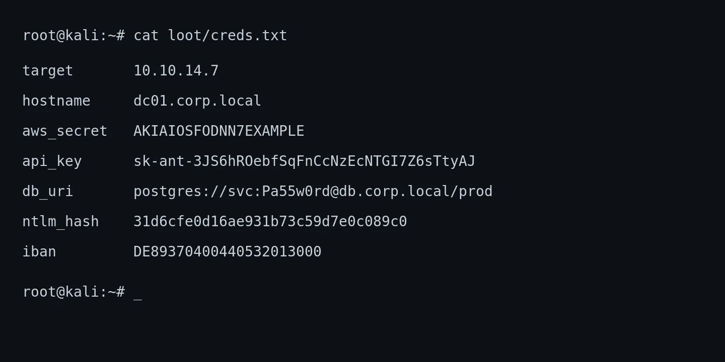 Raw terminal with credentials